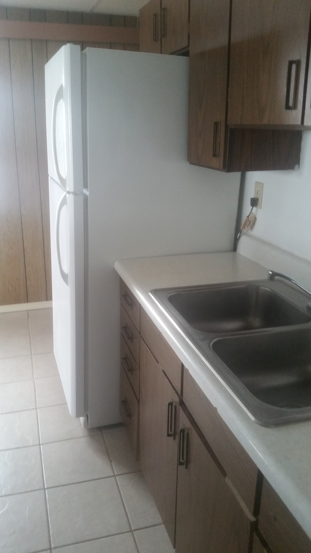 Eveleth Apartment: 222 Adams Ave