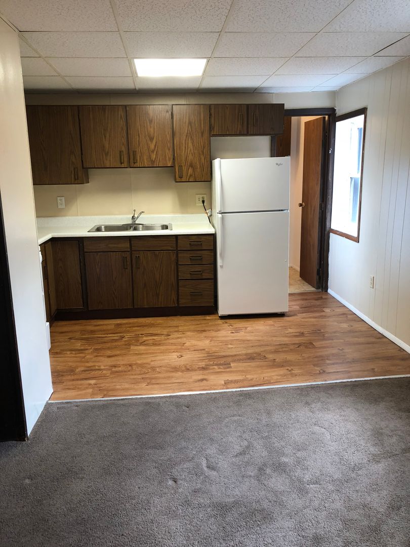 Eveleth Apartment: 222 Adams Ave