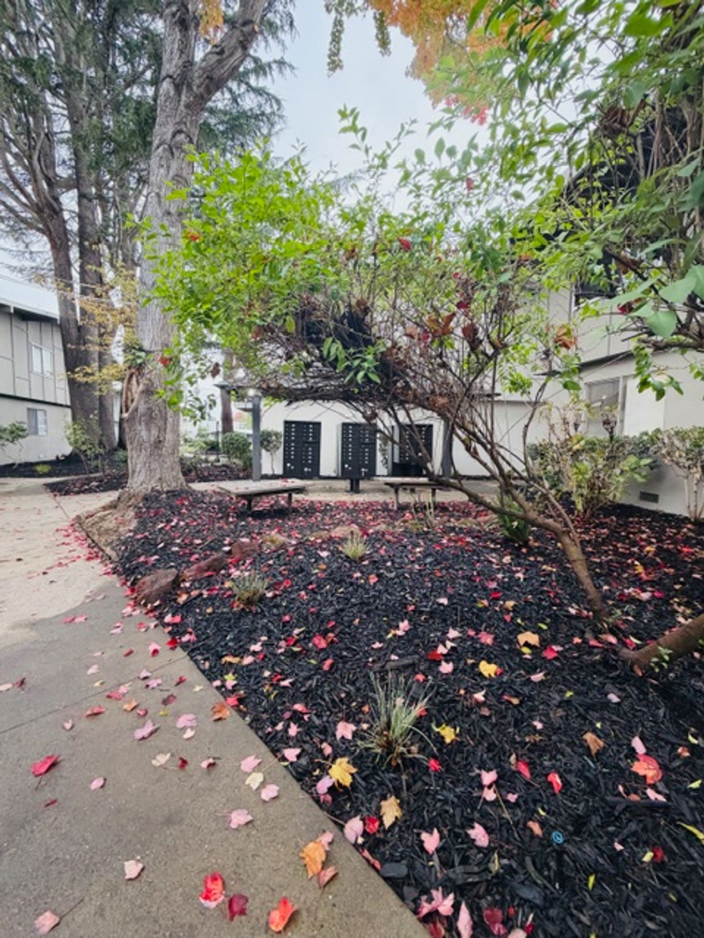 Parkhills Place Holdings LLC 8 of 12