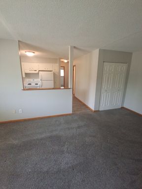 Updated 2-BD Fridley Condo Easy Access to Mpls & NE Main St!