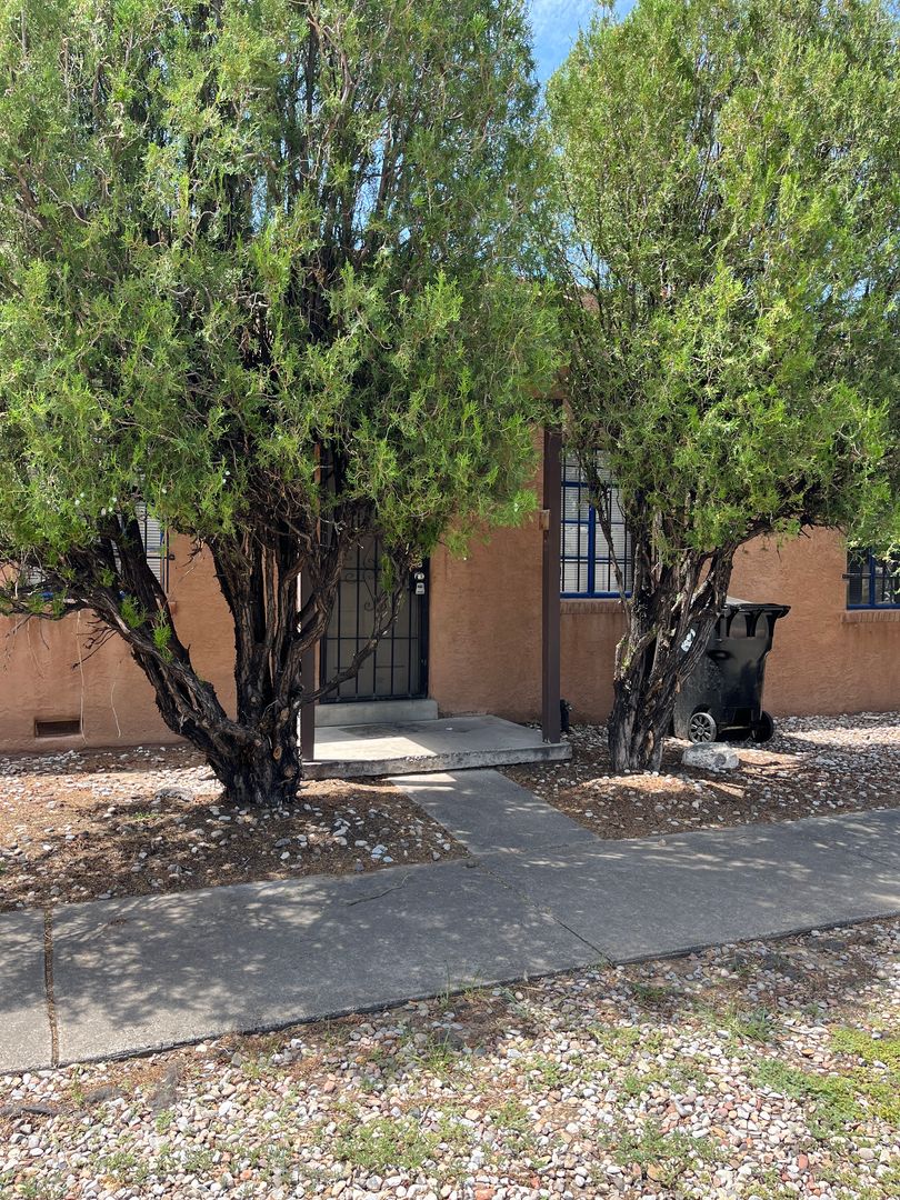 Albuquerque Apartment: 124 Aliso Dr NE