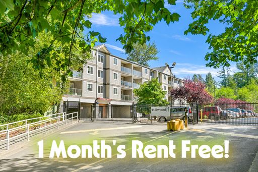 1-Bedroom, 1-Bath Sunny Corner Apartment near Shopping, Restaurants and Nature – photo 1