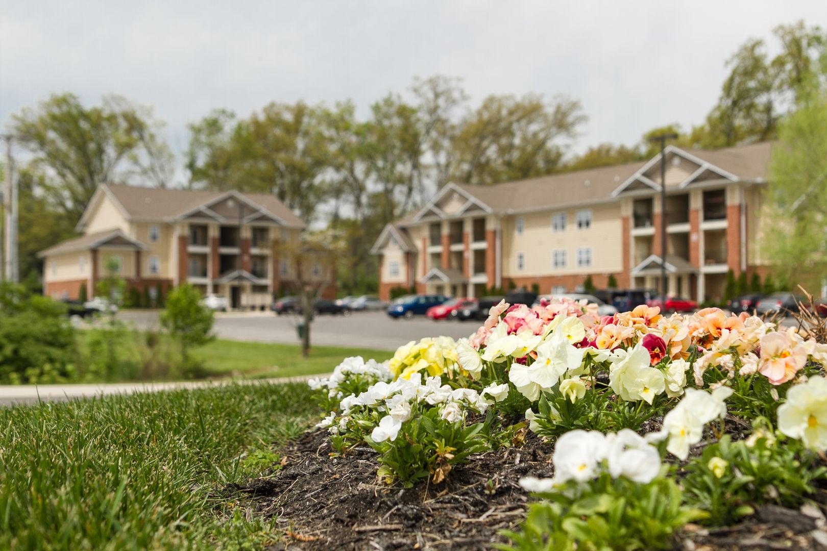 Cookeville Apartment: 1010 E 10th St