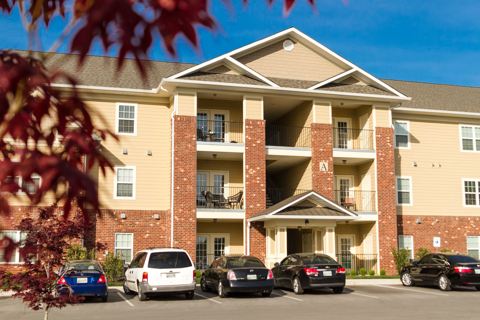 Cookeville Apartment: 317 E Main St