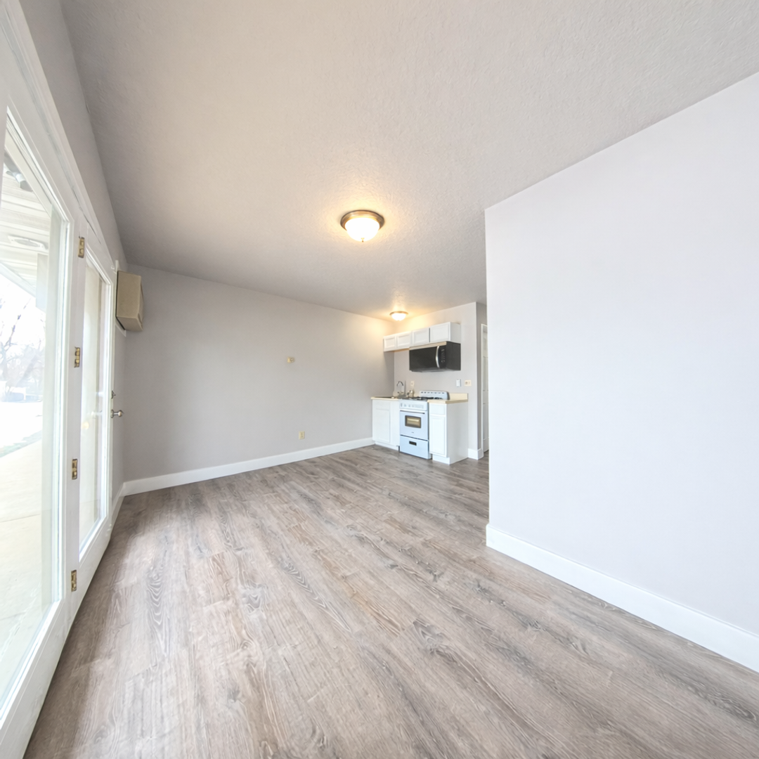 Albion Apartment: 203 N East St