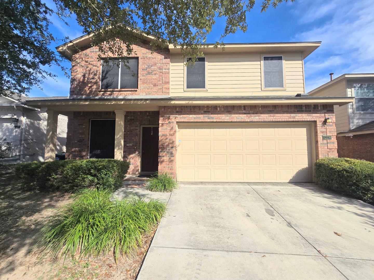 San Antonio House: 12239 Painted Daisy