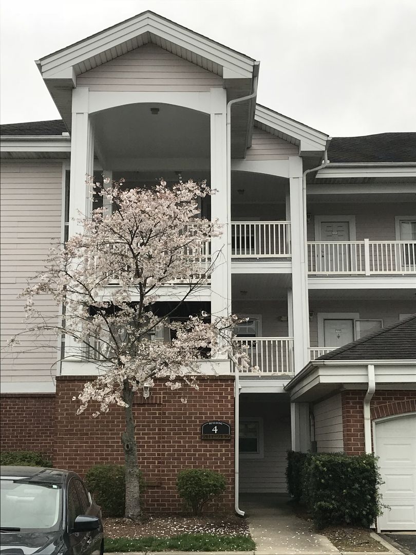 Charlotte Apartment: 9123 Meadow  Vista Rd.