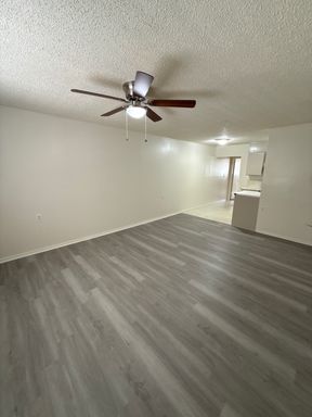 317 YOUNG ST #10