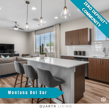 Brand New 3 Bedroom Home in Phoenix - Now Leasing – photo 1