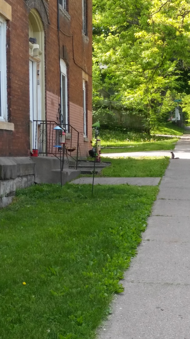 Saint Paul Apartment: 166 George St. W