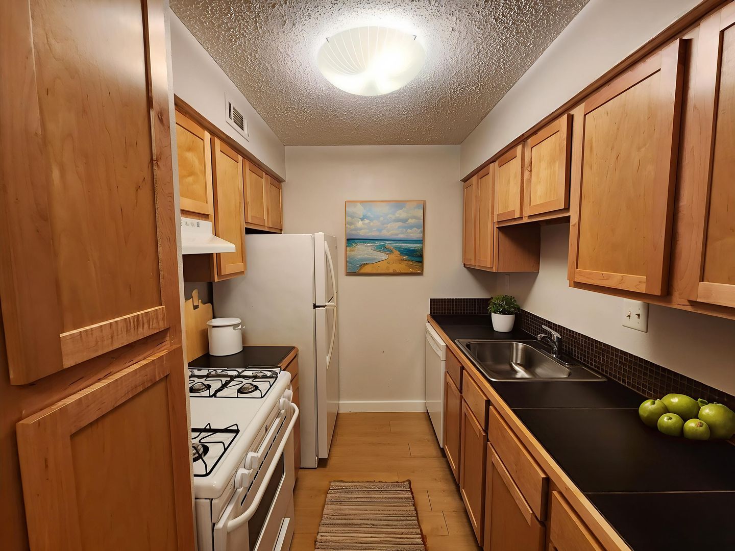 Austin Apartment: 1507 Houston Street