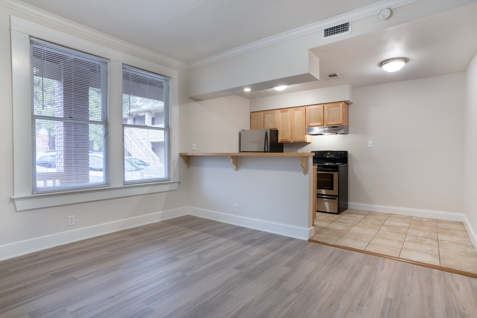 Austin Apartment: 1329 West Mary St