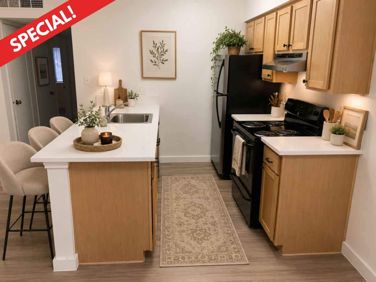 Austin Apartment: 1515 Palma Plaza