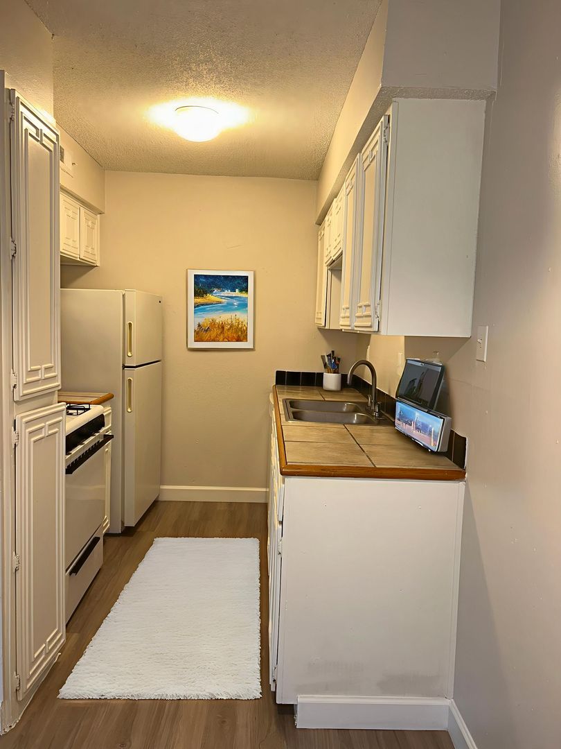 Austin Apartment: 1507 Houston Street