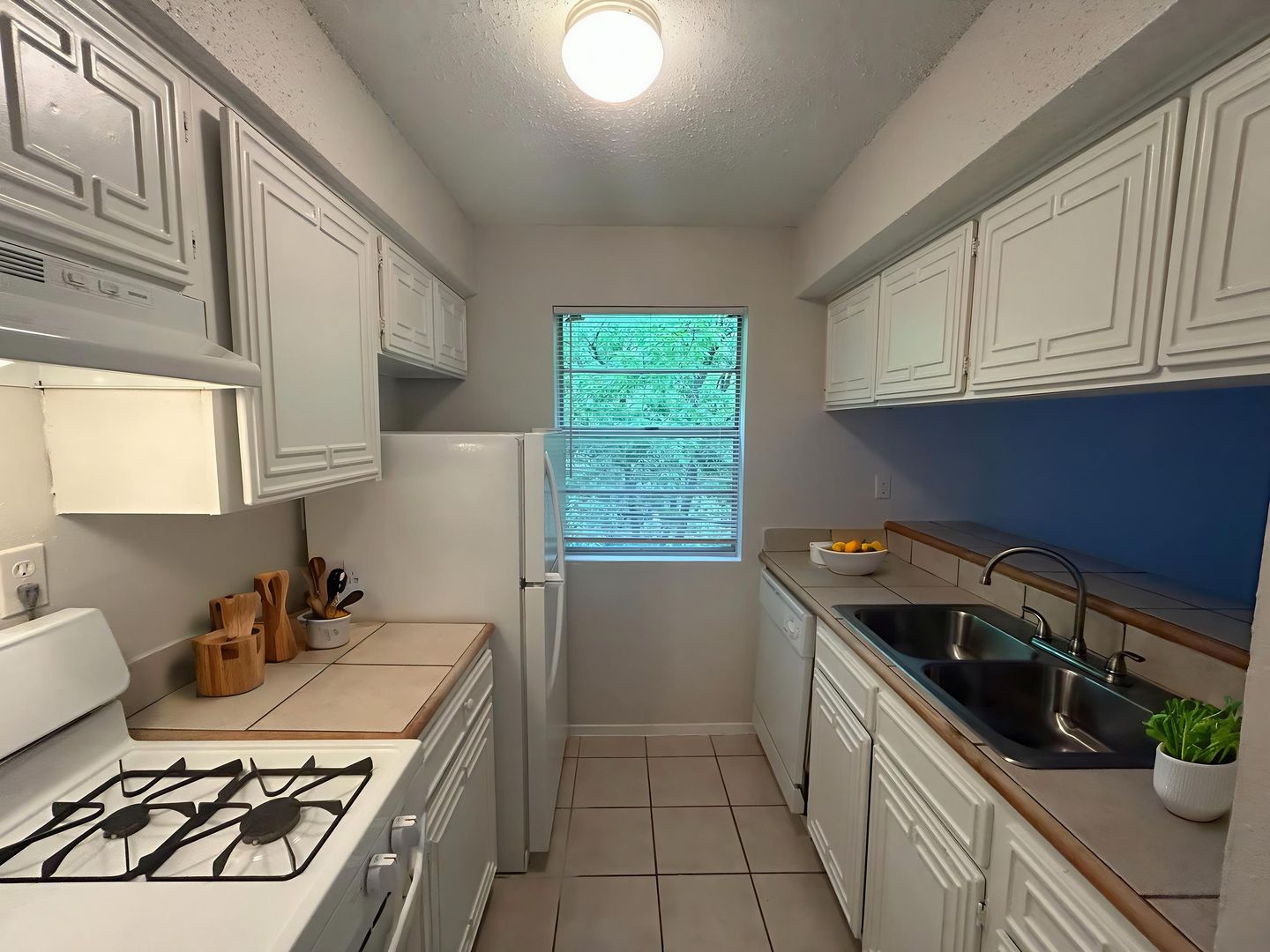 Austin Apartment: 1507 Houston Street