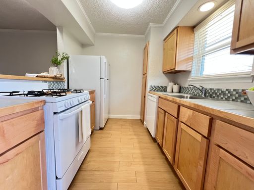 Large 2/1 in North Shoal Creek – photo 1