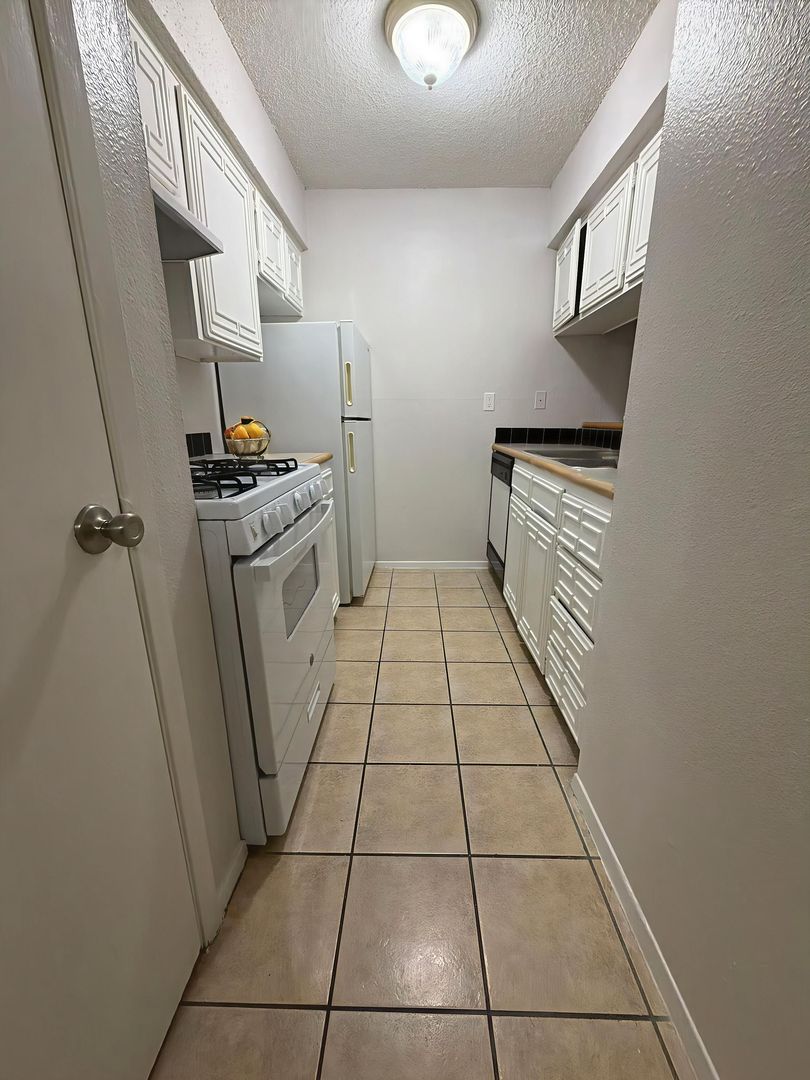 Austin Apartment: 1507 Houston Street