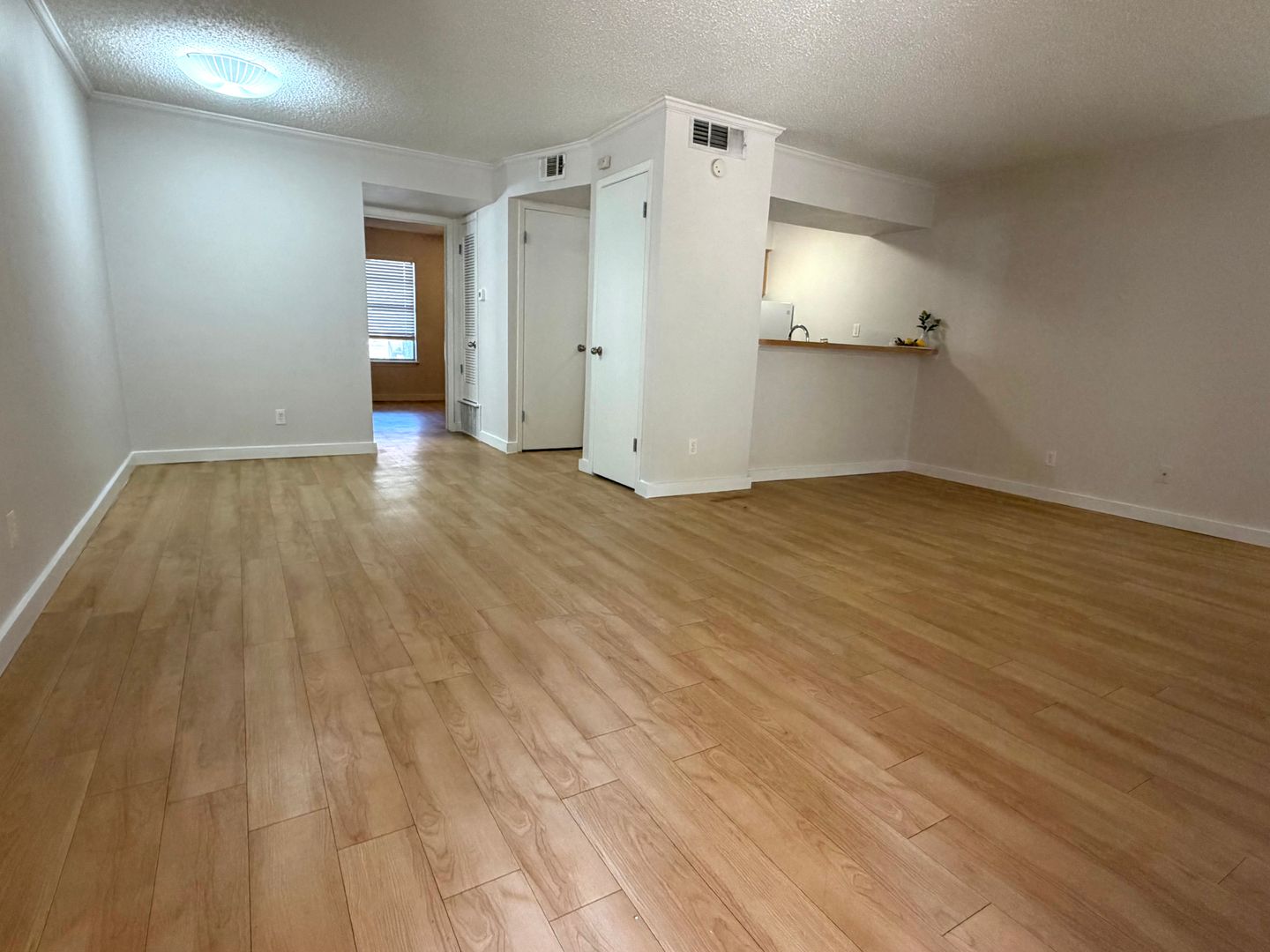 Austin Apartment: 2207 Lawnmont Ave