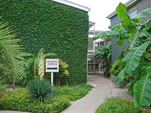 Brentwood 1BR - 6 Min Walk to Burnet Rd – photo 1