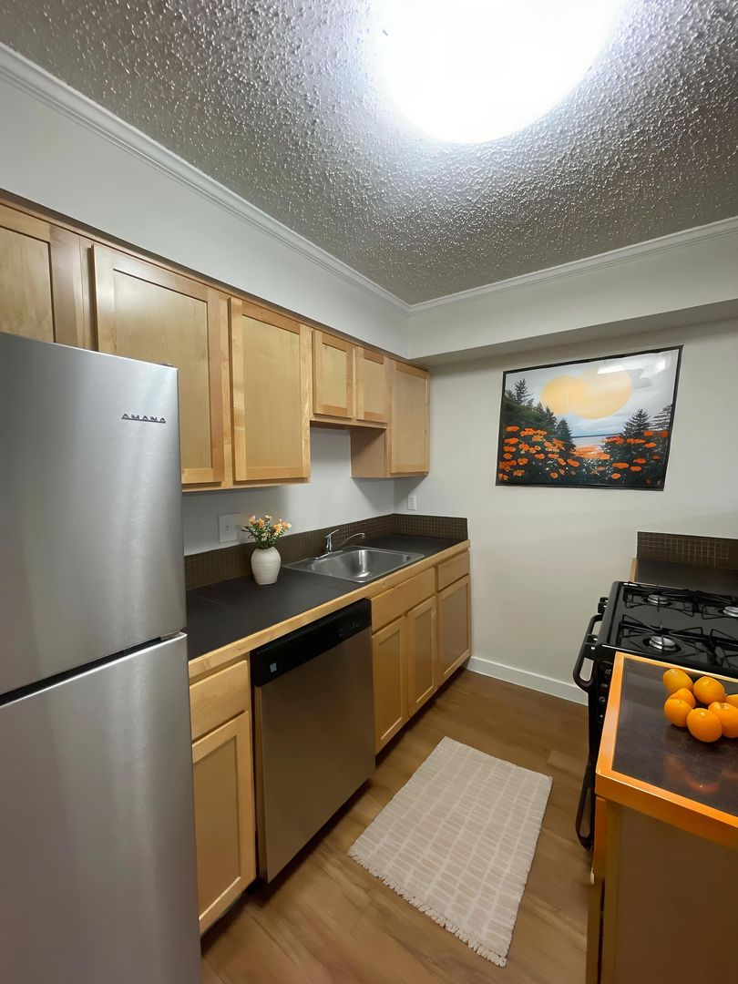 Austin Apartment: 1329 West Mary St