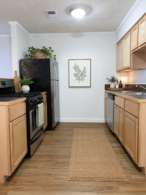 Bouldin Creek A3- 1 bedroom, 1 bath – photo 1