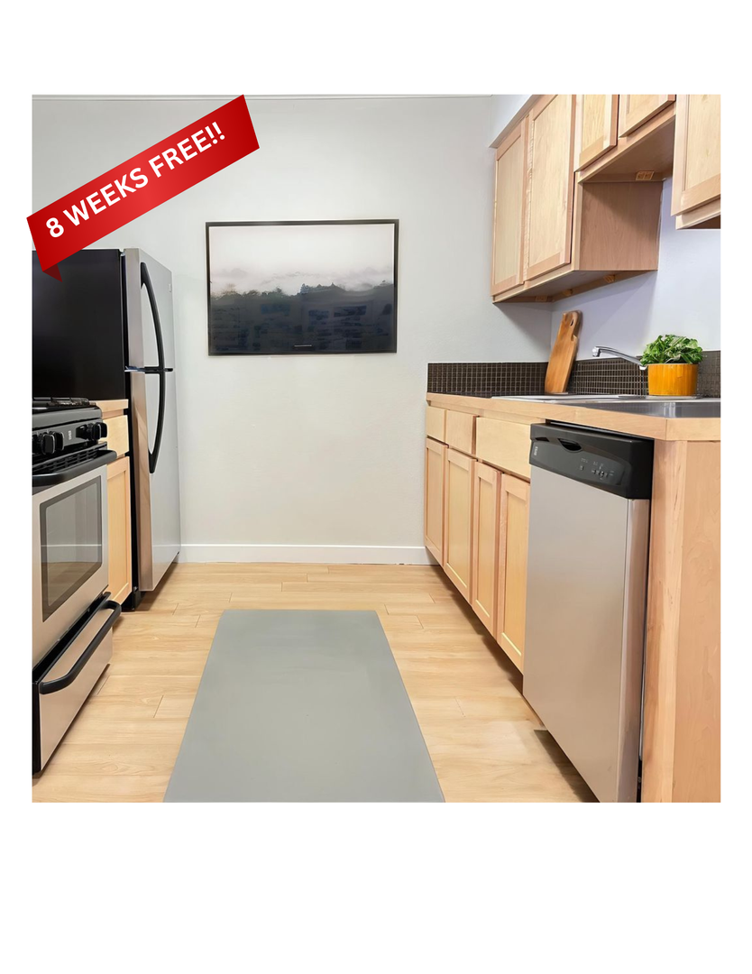 Austin Apartment: 1329 W Mary St