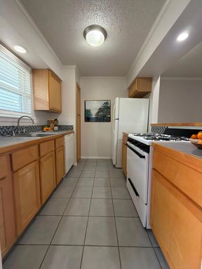 Large 2/1 in North Shoal Creek – photo 1