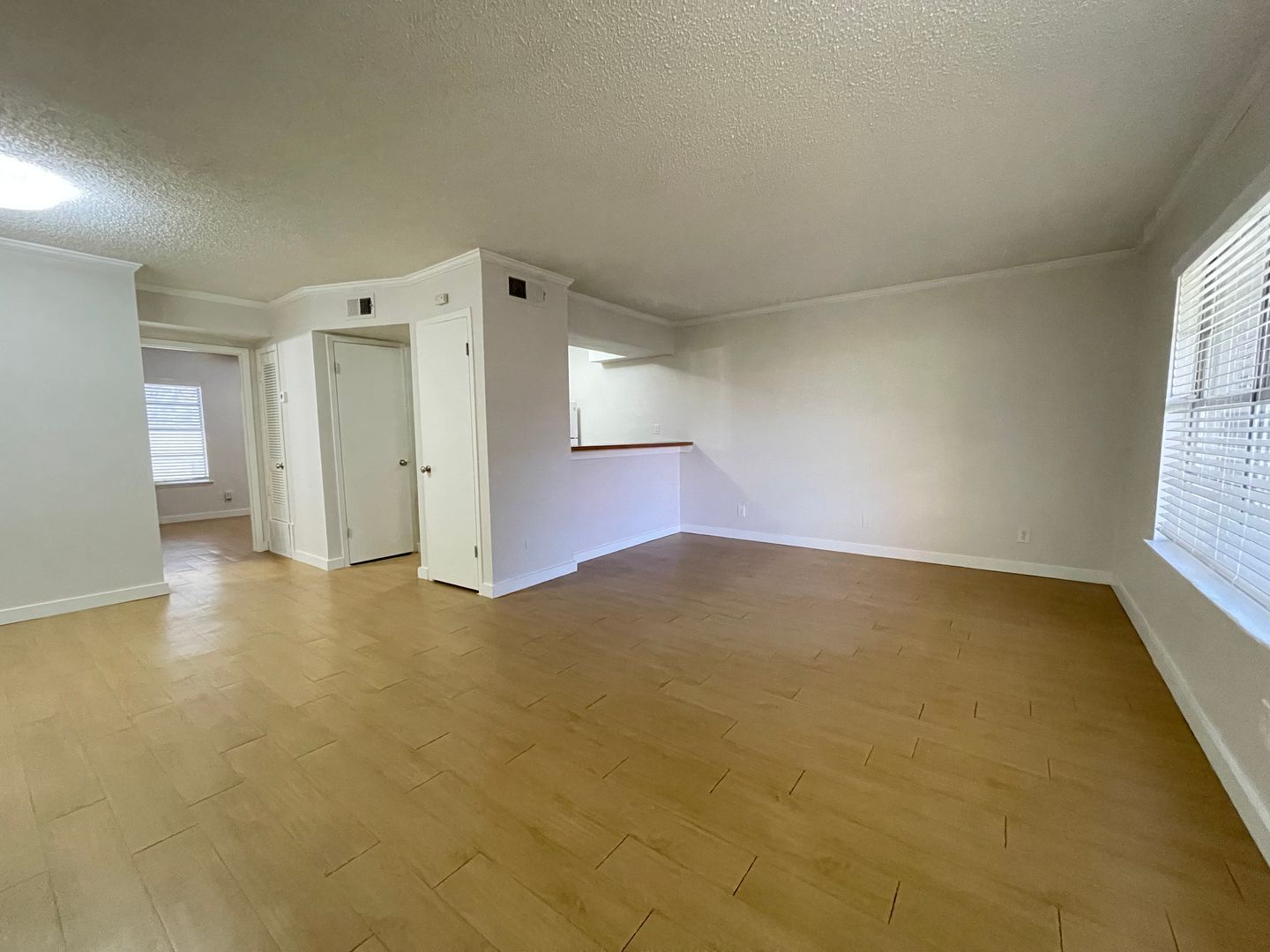 Austin Apartment: 2207 Lawnmont