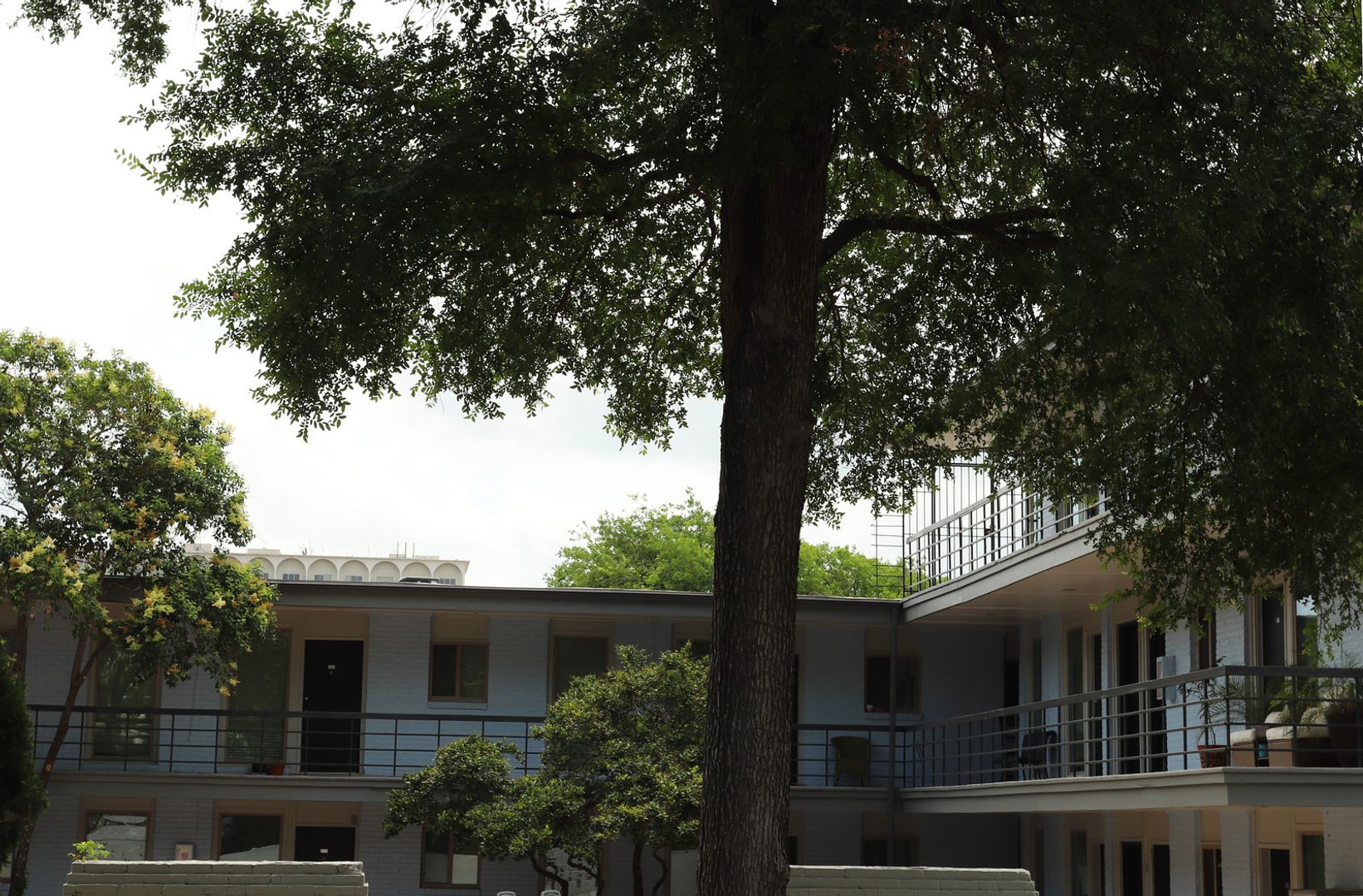 Austin Apartment: 1801 Rio Grande