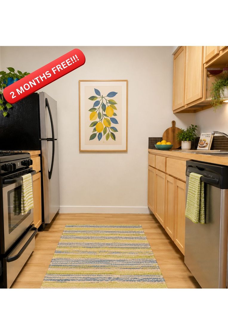 Austin Apartment: 1329 W Mary St