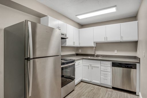 MOVE-IN SPECIAL: 2 MONTHS FREE!!! Remodeled 1 Bedroom Apartment, Luxury Vinyl Floors, Granite Counters, Stainless Steel appliances, Balcony, Dishwasher – photo 1