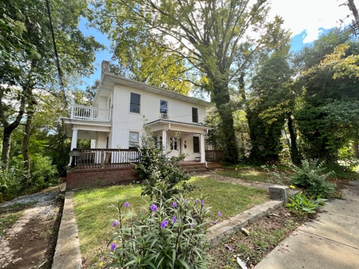 Raleigh Apartment: 117 Park Avenue
