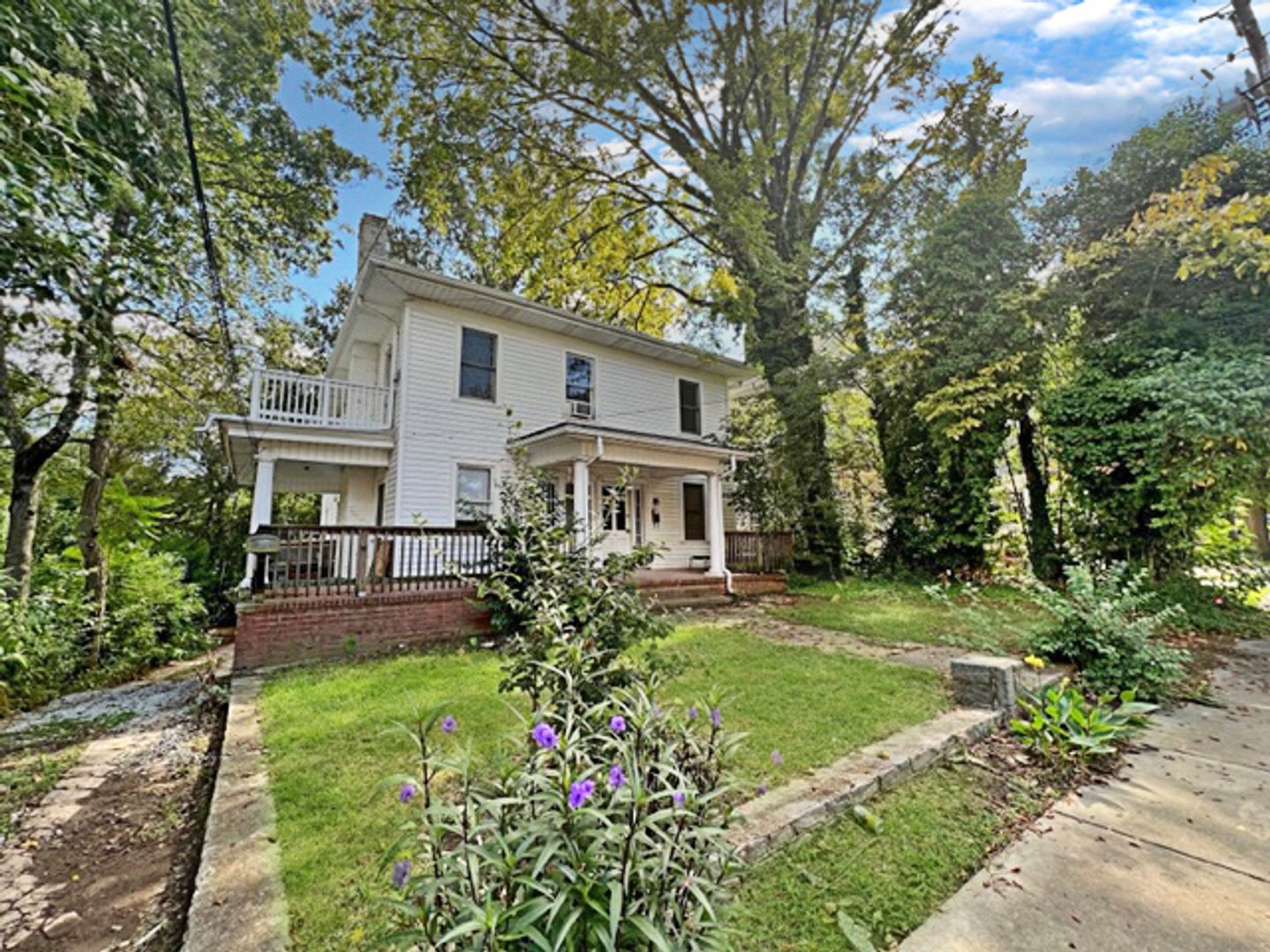 Raleigh Apartment: 117 Park Avenue