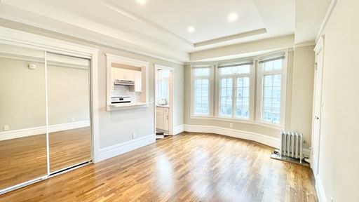Sunny Renovated Studio w/ XL Closet Close to Downtown! – photo 1
