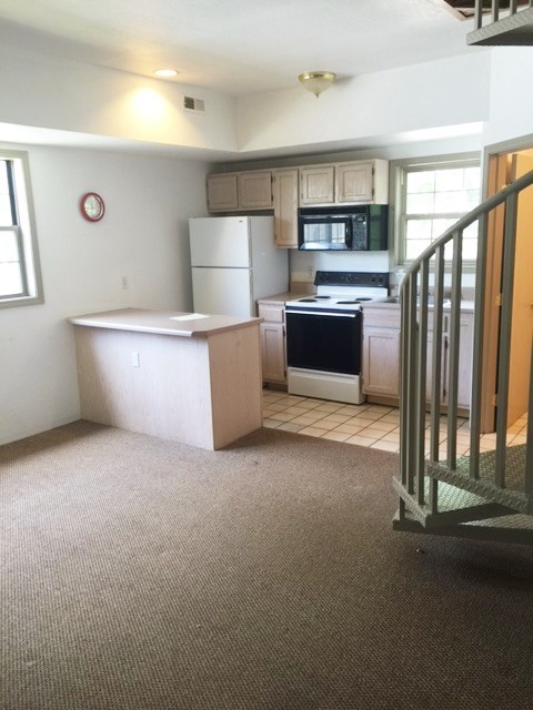 Urbana Apartment: 308 W. Green St