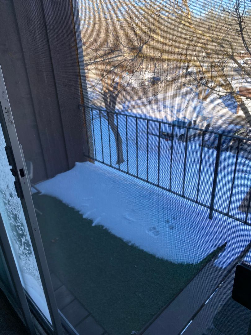 St Paul Apartment: 1905 Wilson Ave E