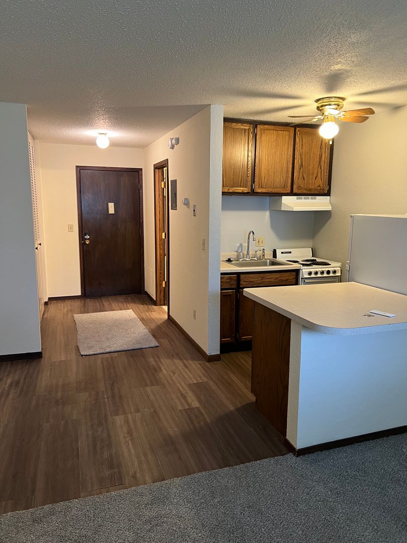 St Paul Apartment: 1905 Wilson Ave E