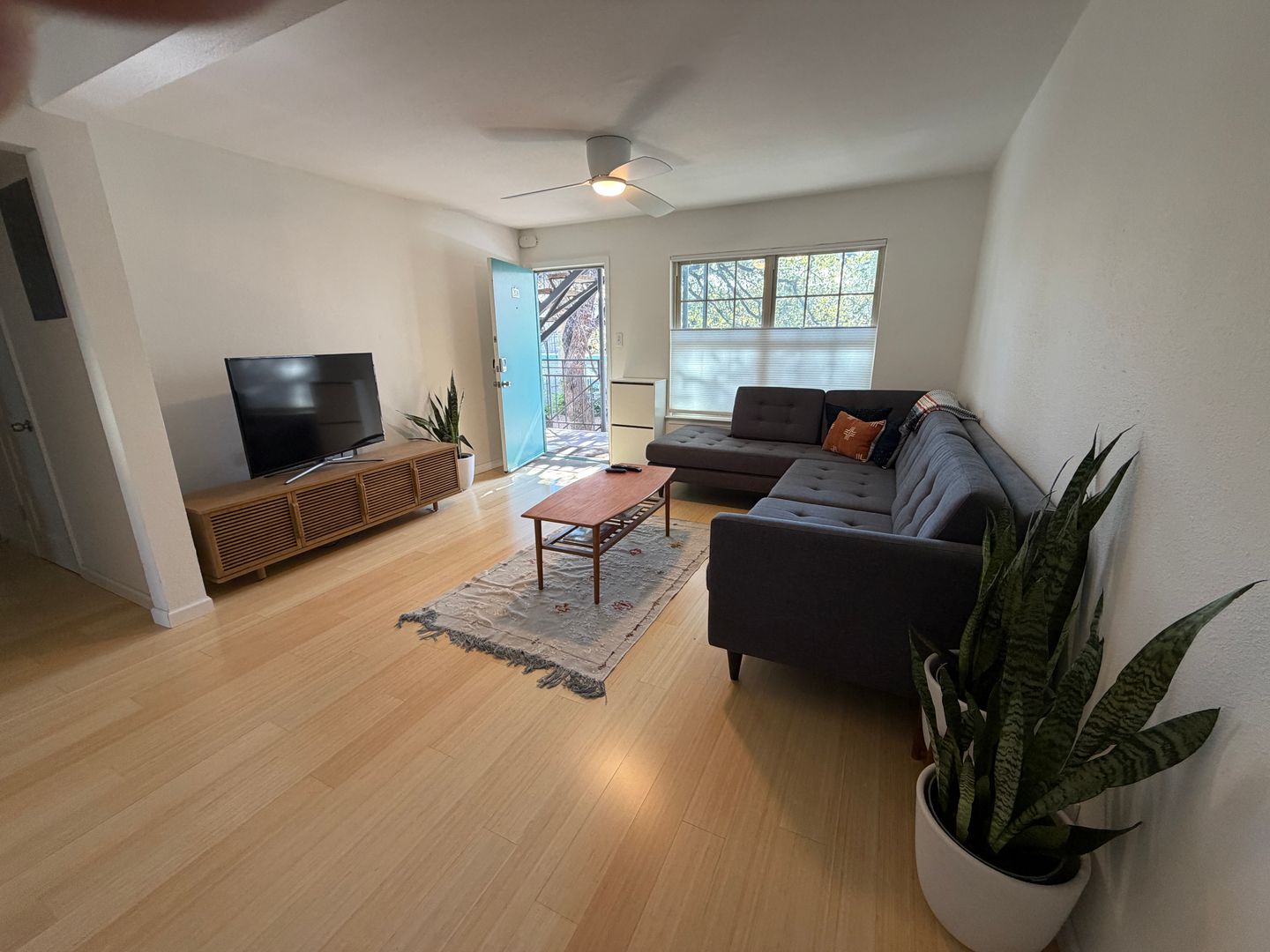 Austin Condo: 300 Crockett Street Unit 201