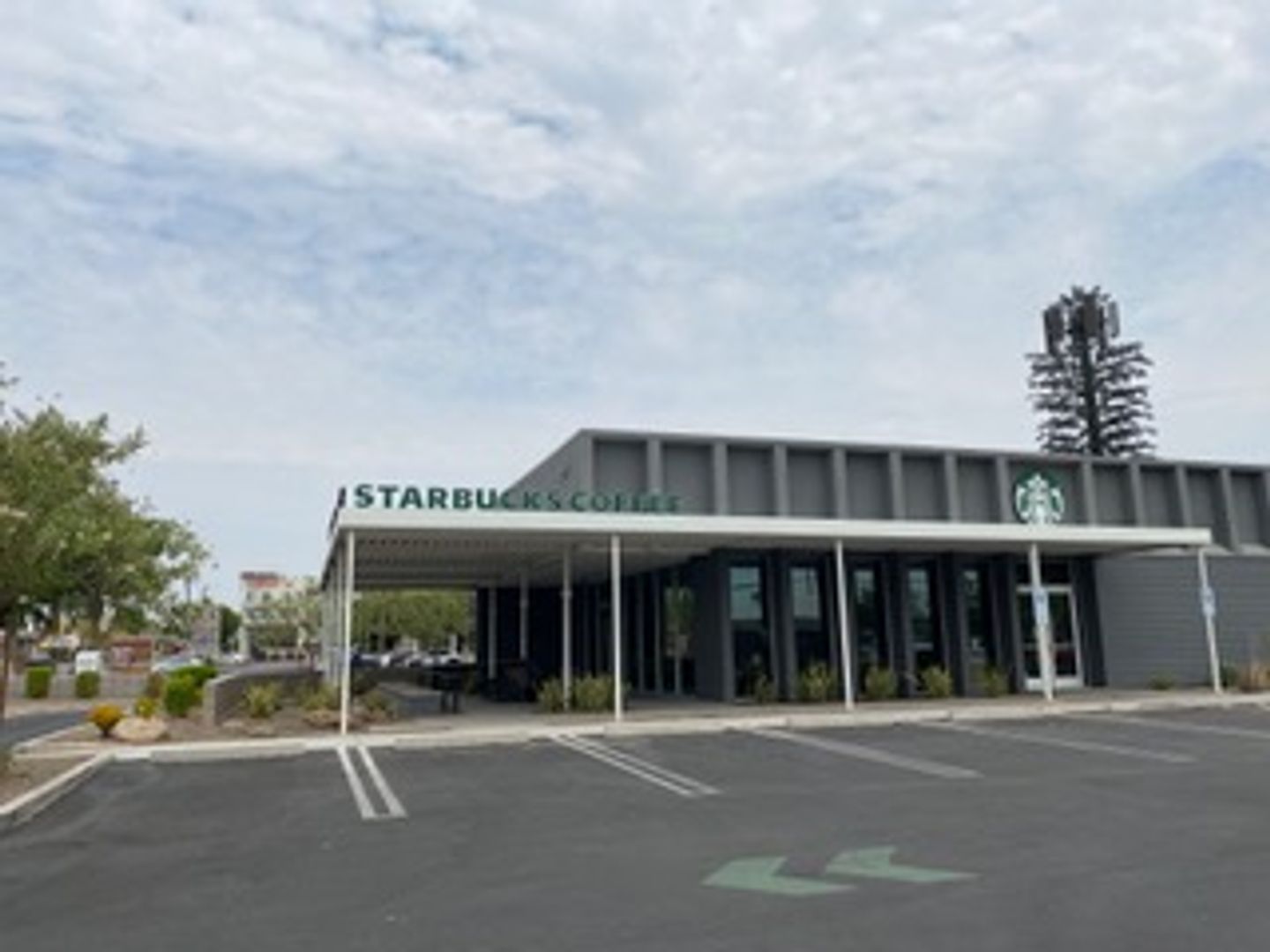 Phoenix Apartment: 906 E Roma Ave