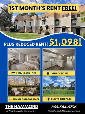 1 Bedroom Loft - Rent just $1,098 AND GET YOUR 1ST MONTH'S RENT FREE! – photo 1