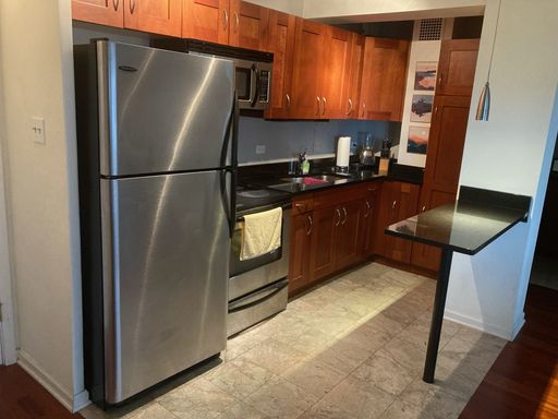 4180 N Marine Dr Unit 1304 #APT – photo 1
