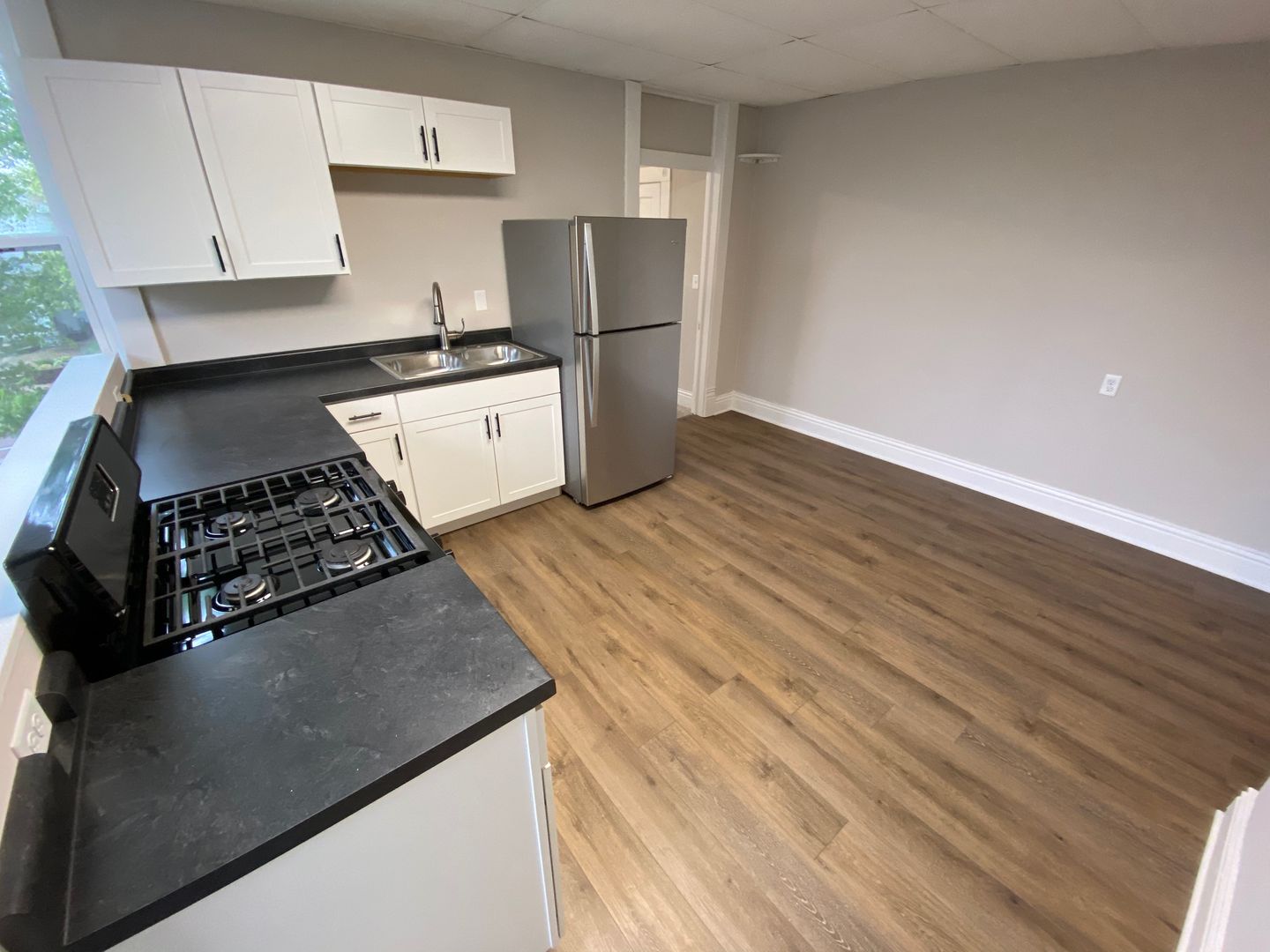 Lafayette Apartment: 1815-1817 Meharry St