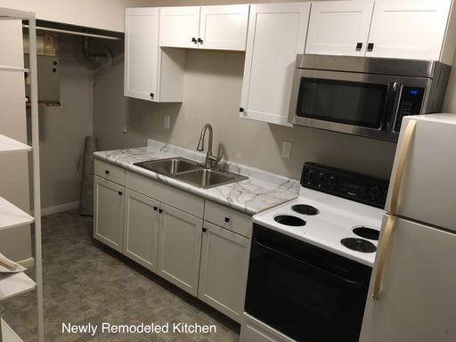 Clean, Cozy One Bedroom Apartment
