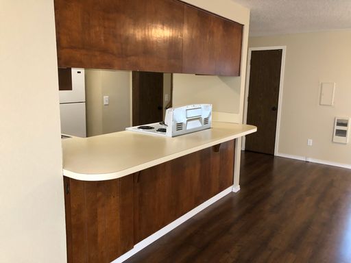 1 bedroom condo **2 Weeks Free** – photo 1