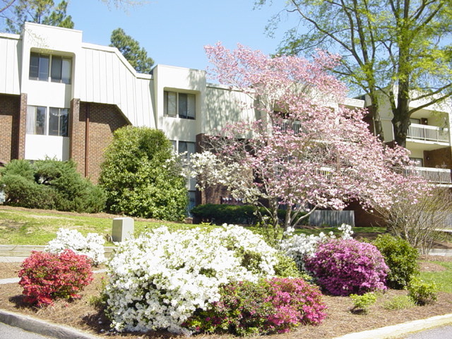 Chapel Hill House: 500 Umstead Drive