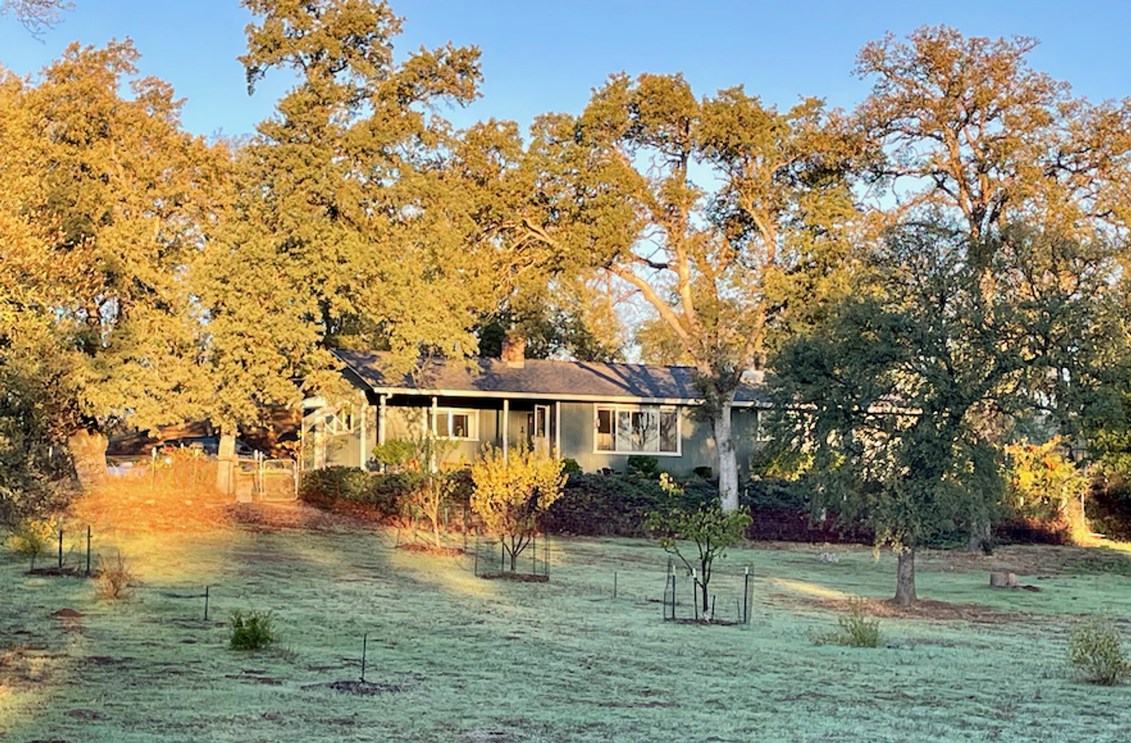 Palo Cedro Apartment: 9733 Hidden Lane