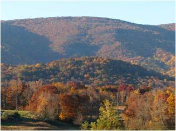 Crozet Apartment: Golf Drive