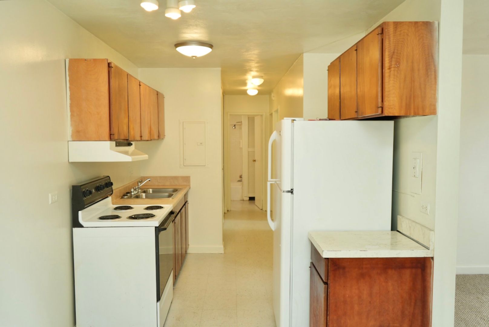Charlottesville Apartment: 1500 Grady Ave