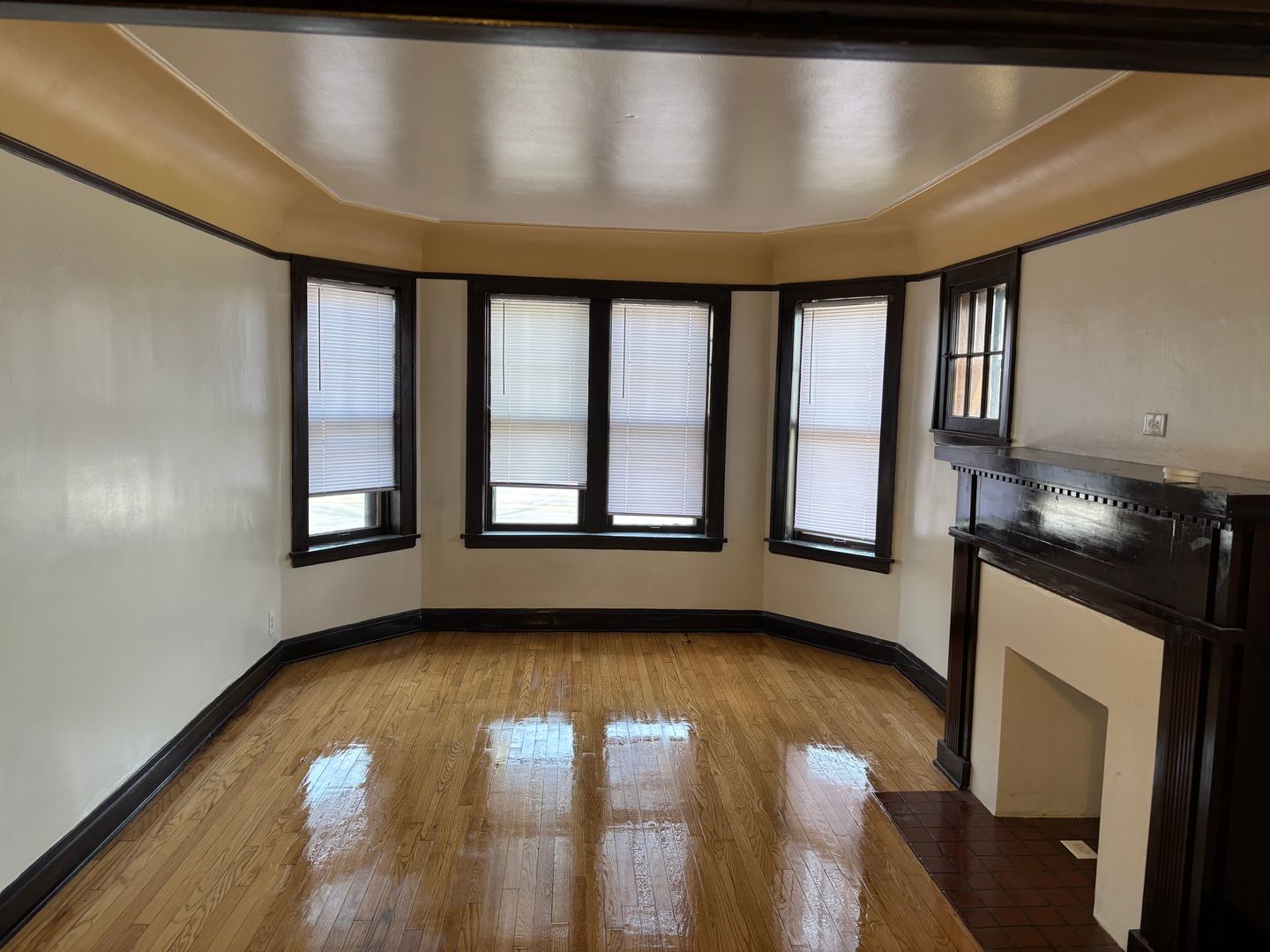 Chicago Heights Apartment: 148 W 14th St.