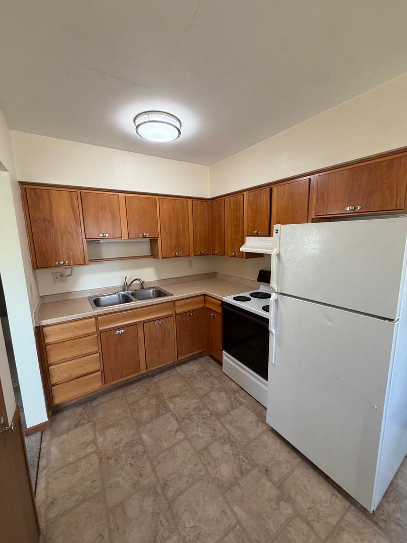 Rochester Apartment: 1239 3rd Ave SW